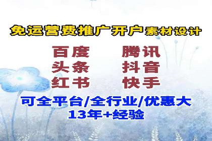 成功运用SEM服务实现品牌快速成长的案例